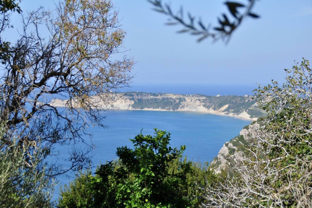 Villa Meli Afionas Corfu Dış mekan fotoğraf